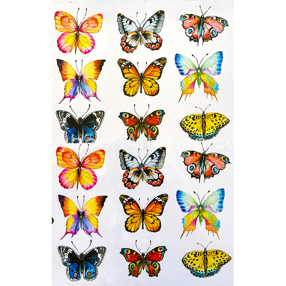 طلق ترنسپرنت رنگی