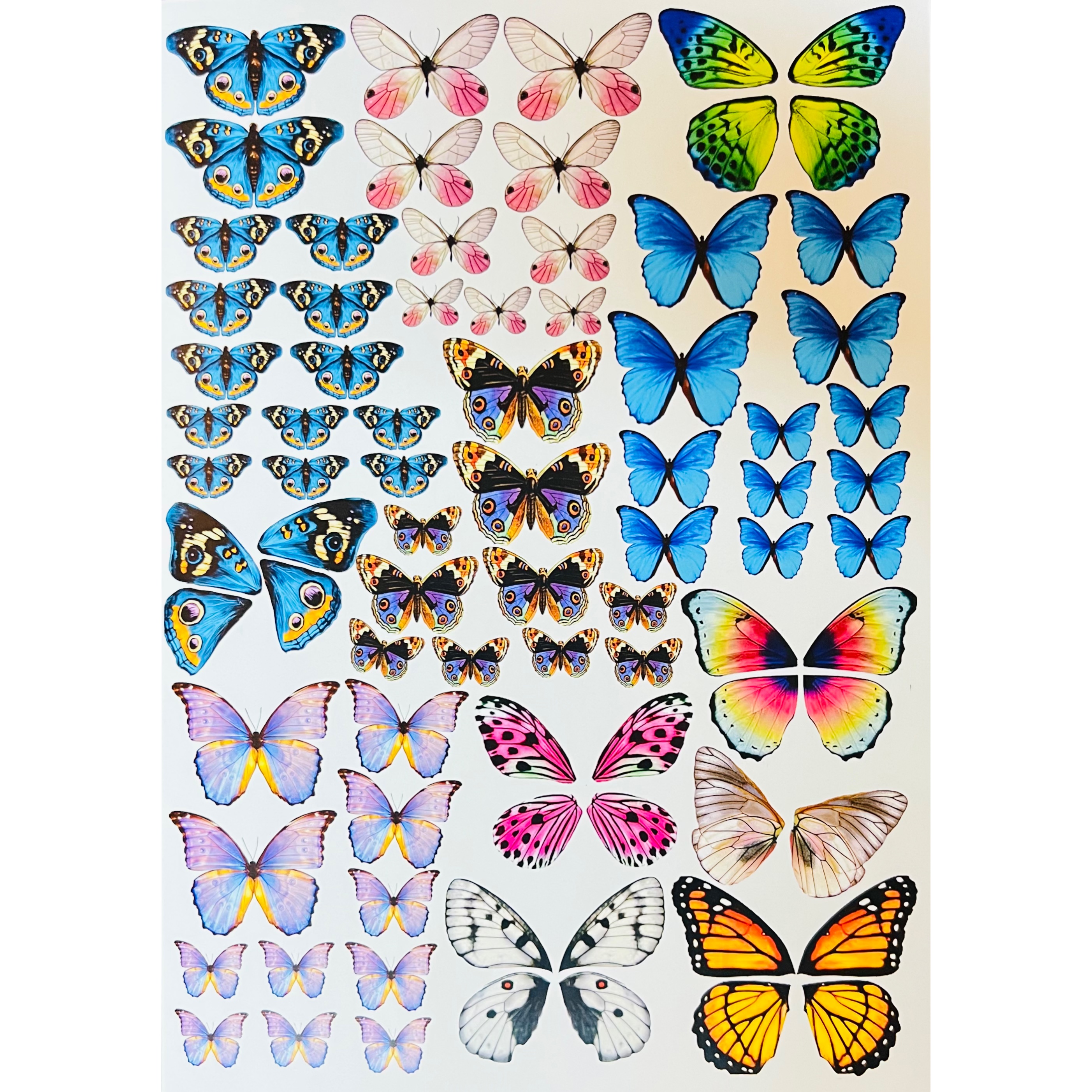 استیکر روی مقوا گلاسه