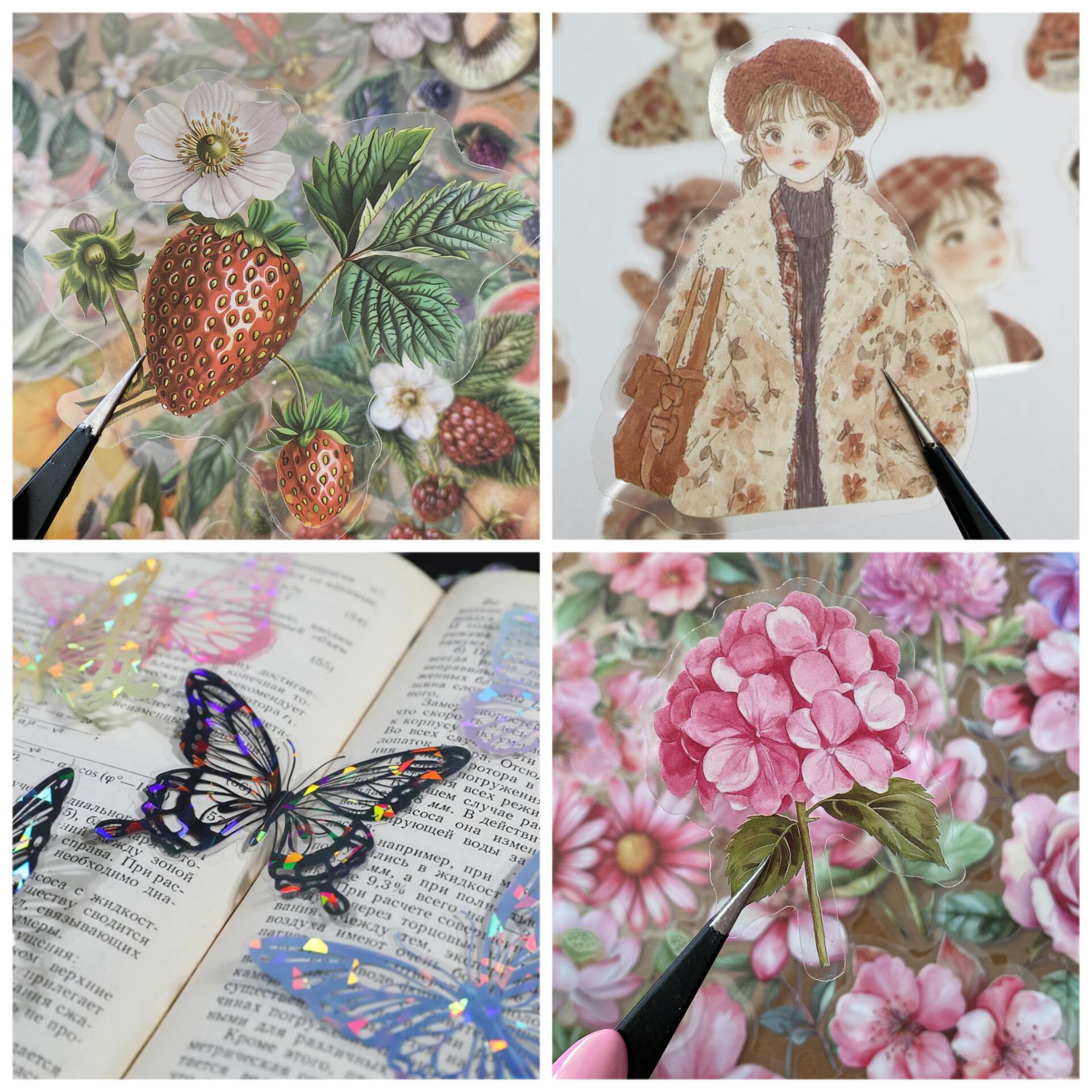 انواع استیکر و برچسب