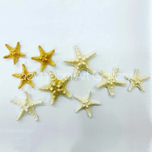ستاره دریایی حجمی (وارداتی)