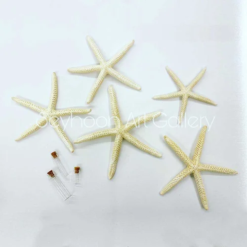 ستاره دریایی میله ای (وارداتی)